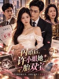 闪婚后，许小姐她一胎双宝