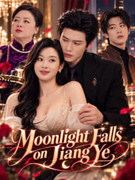 Moonlight Falls on Jiang Ye