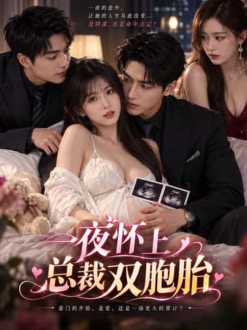 一夜怀上总裁双胞胎