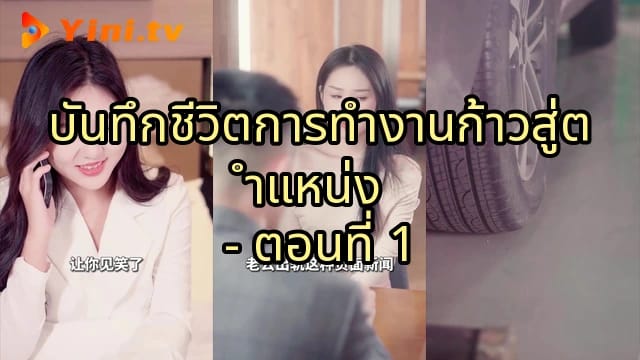 บันทึกชีวิตการทำงานก้าวสู่ตำแหน่ง - ตอนที่ 1
