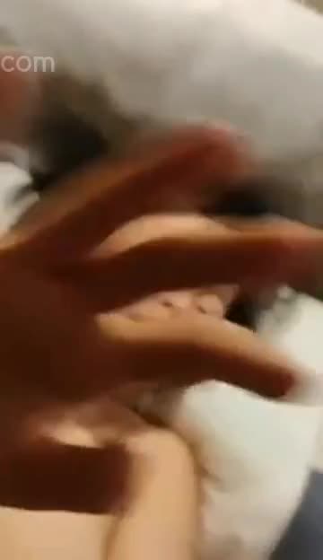 白床单的爱情