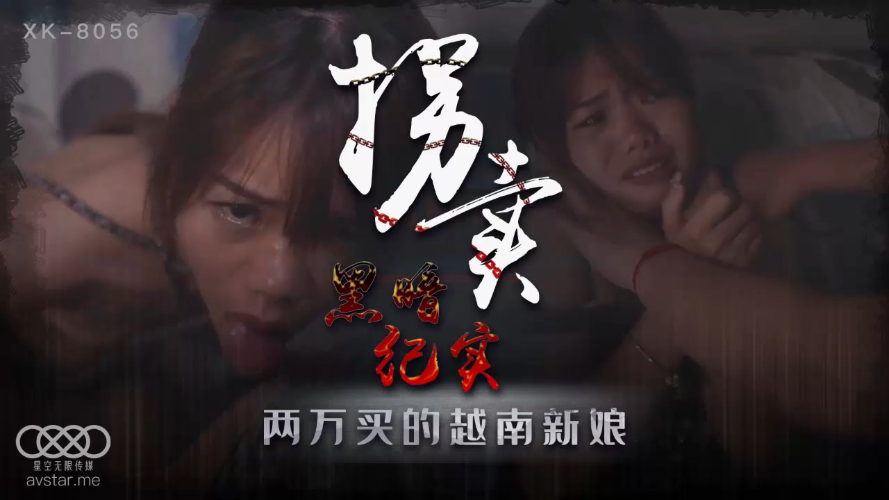 【P站/视频】拐卖（上）