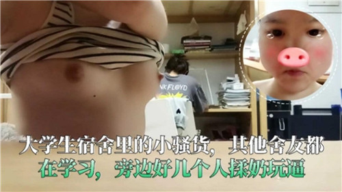 【网曝泄密】大学生宿舍里的小骚货，其他舍友都在学习，旁边好几个人揉奶玩逼