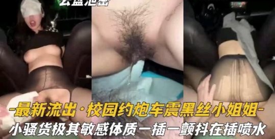 一最新流出·校园约炮车震黑丝小姐姐-  小强货极其敏感体质一插一颤抖在插喷水