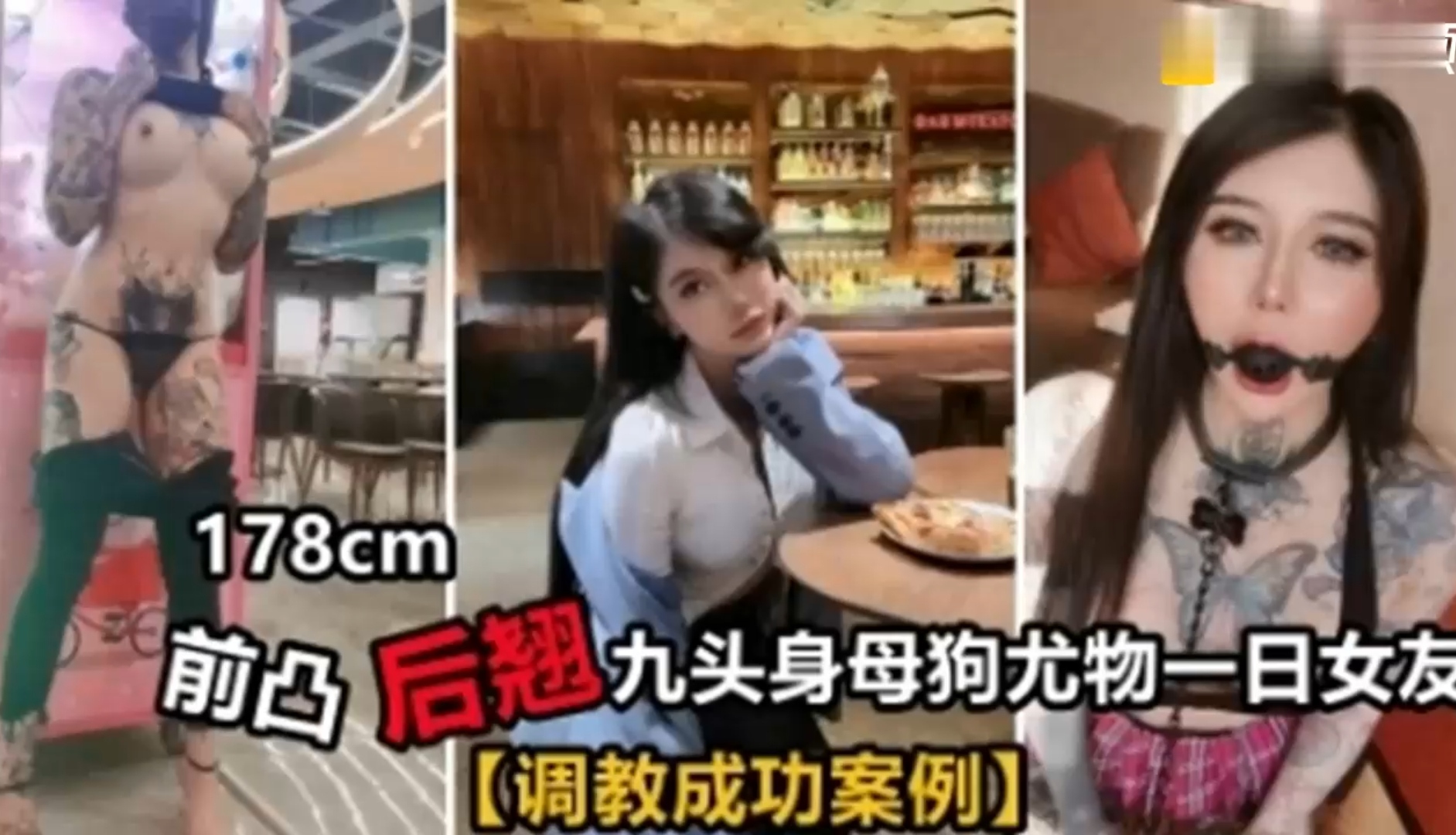 【调教母狗】178cm前凸后翘九头身母狗尤物