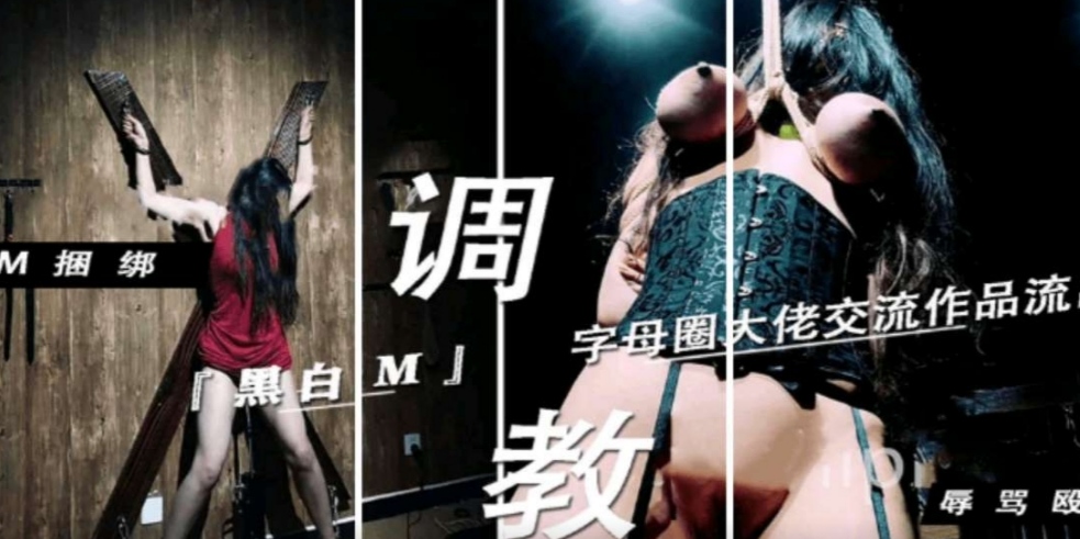 母圈大佬黑白DOM交流作品流出