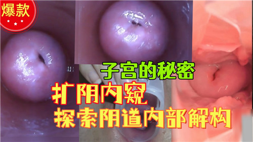 【精品泄密】子宫的秘密，扩阴内窥，探索阴道内部结构