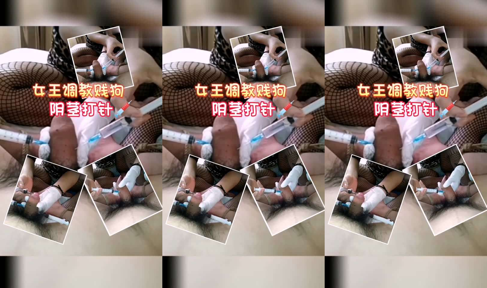 女王调教（男奴鸡巴生病了阴茎打针）