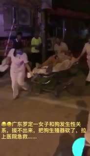 好女不养狗