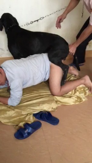 让狗:dog:艹