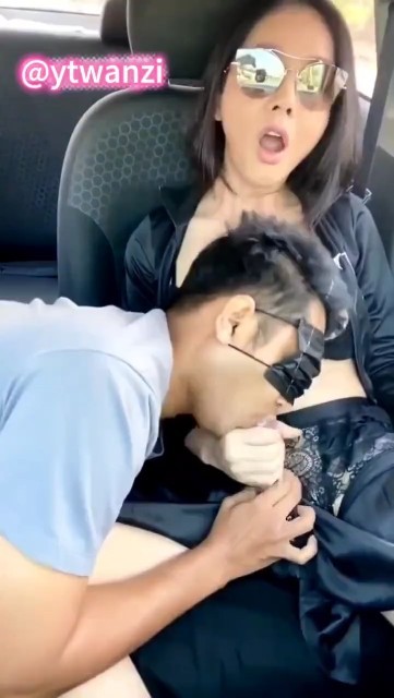 舔狗舔几把