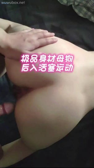 极品身材母狗后入活塞运动
