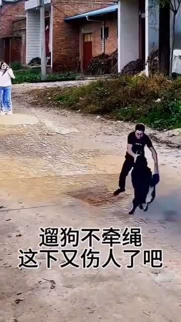 遛狗不牵绳，咬到路人