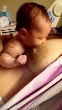 乱啃