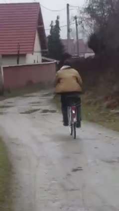 骑的潇洒摔的凄惨