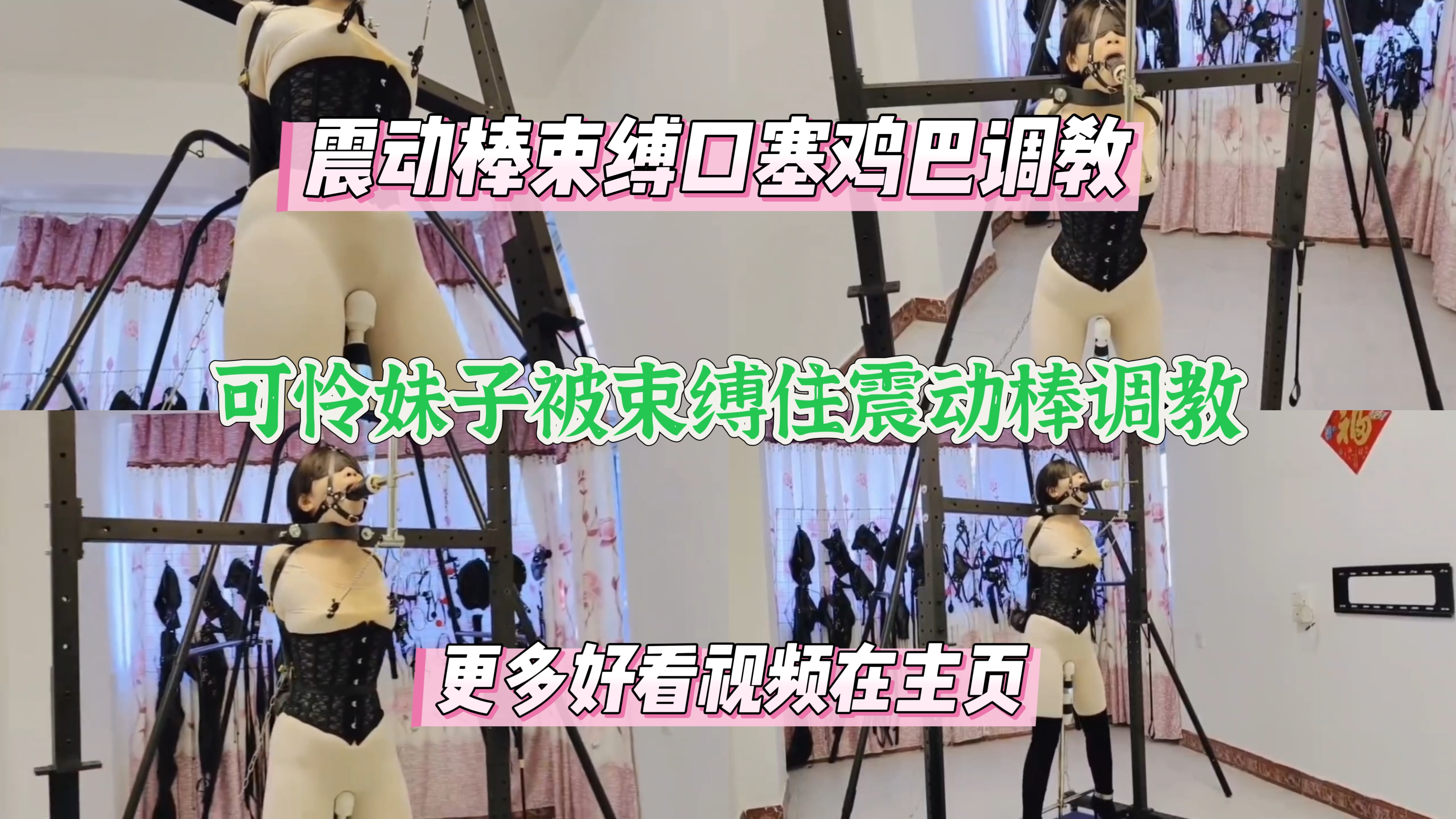 极品妹子被束缚震动棒调教，口塞鸡巴