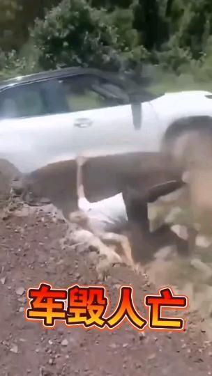 车毁人亡