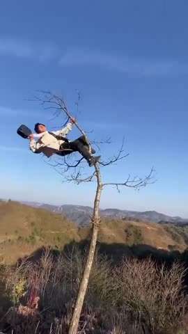 男子树上跳舞装逼失败
