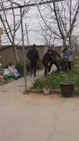 争抢宅基地