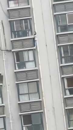 这是原配回来了？整个小区的业主都在瑟瑟发抖 女 老王