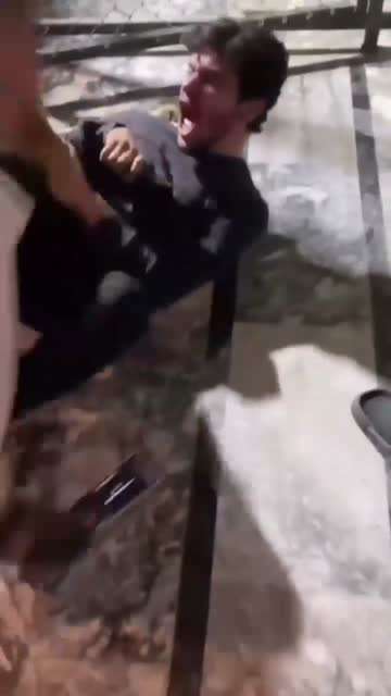 不要和狮子开玩笑