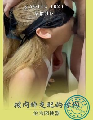 被肉棒支配的母狗沦为肉便器