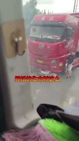 电动车闯红灯被大车撞到，当场死亡
