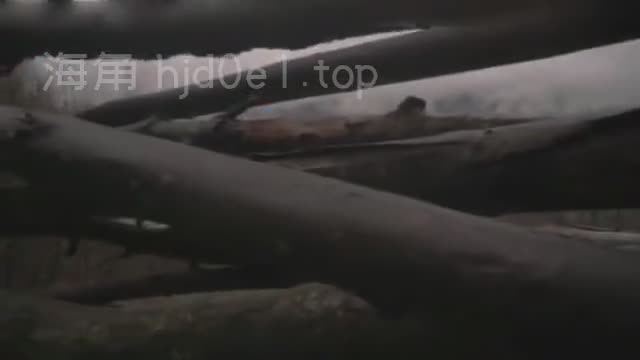 两个饥渴的嘴巴