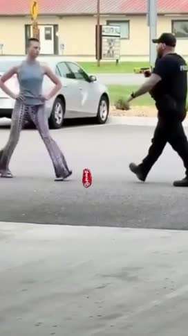 看老外执法