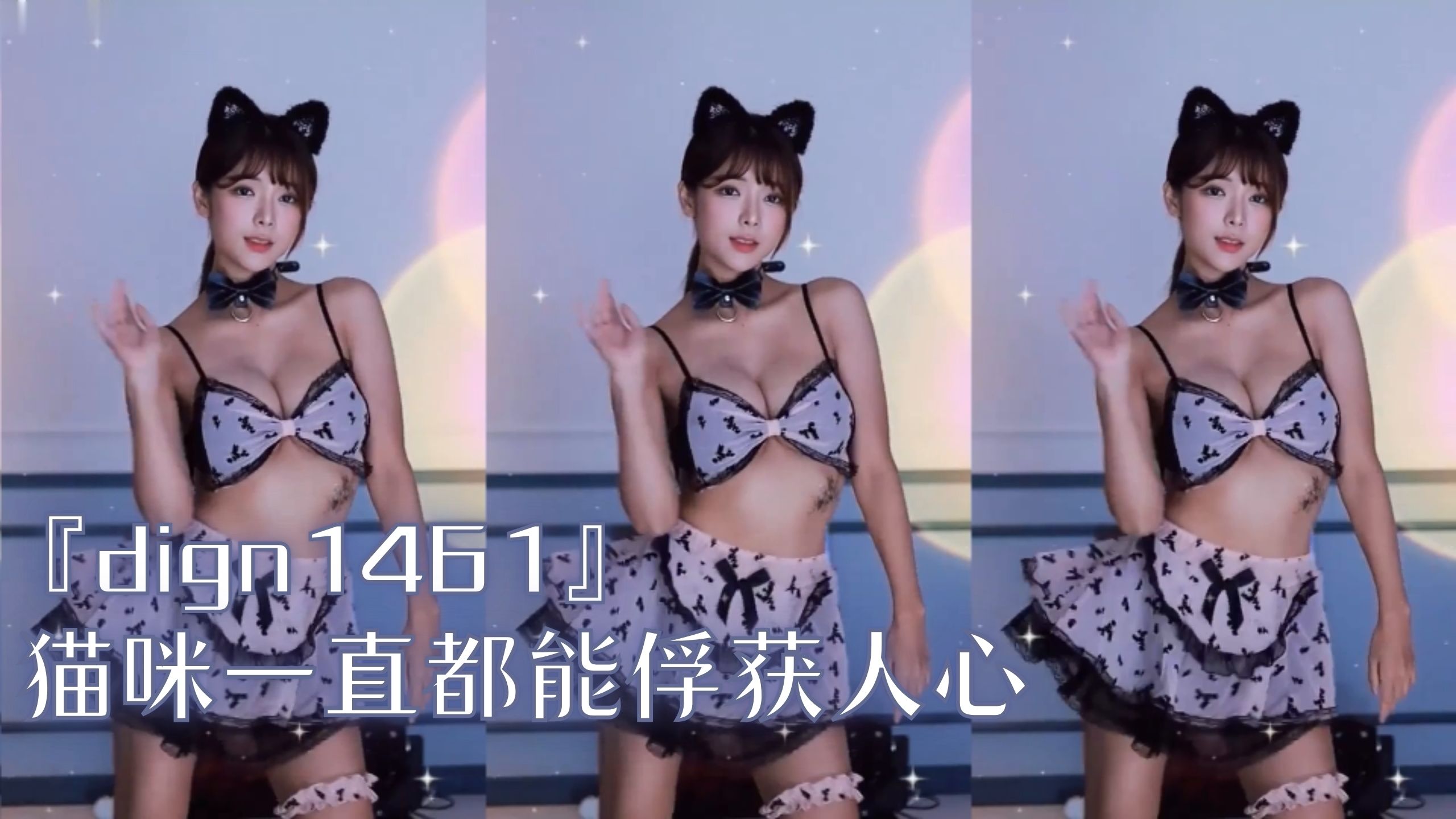 『dign1461』猫咪一直都能俘获人心