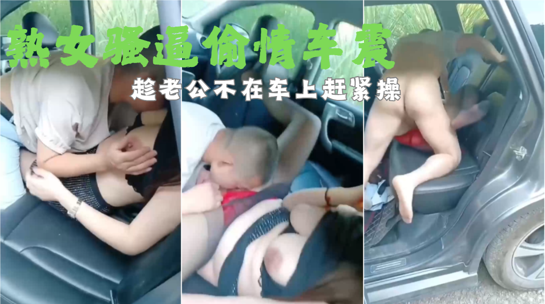 人妻美妇发骚求干，老公在家偷汉子上车就操