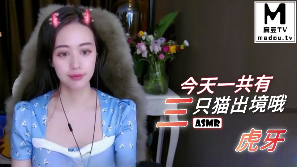 #ASMR 今天一共有三只猫出境哦 虎牙