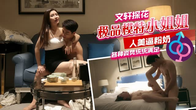 文轩探花极品模特小姐姐人美逼粉奶各种姿势统统满足