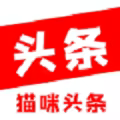 猫咪头条