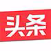 猫咪头条